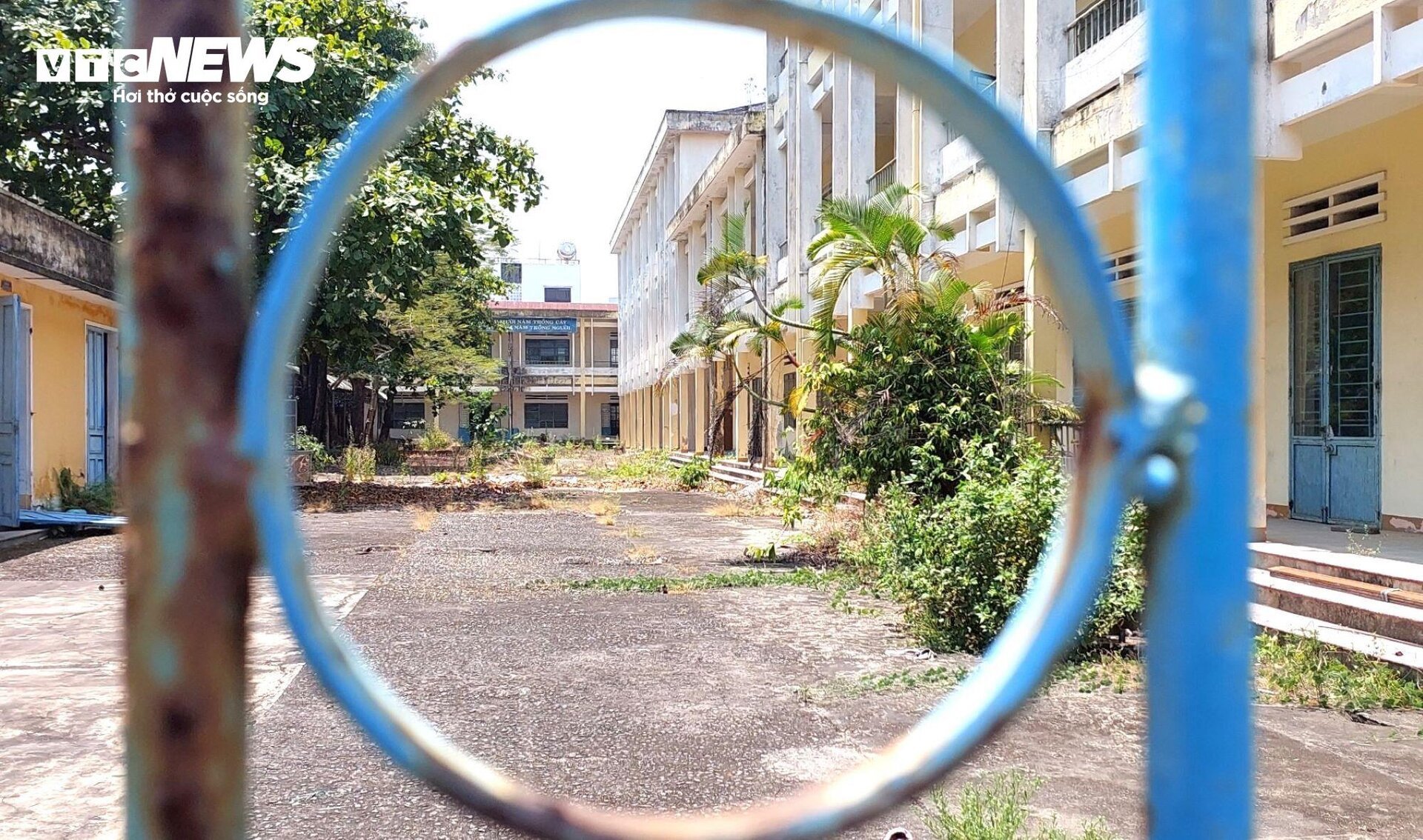 Trường học rộng nghìn m2 trên đất vàng ở Đà Nẵng bỏ không nhiều năm - 2