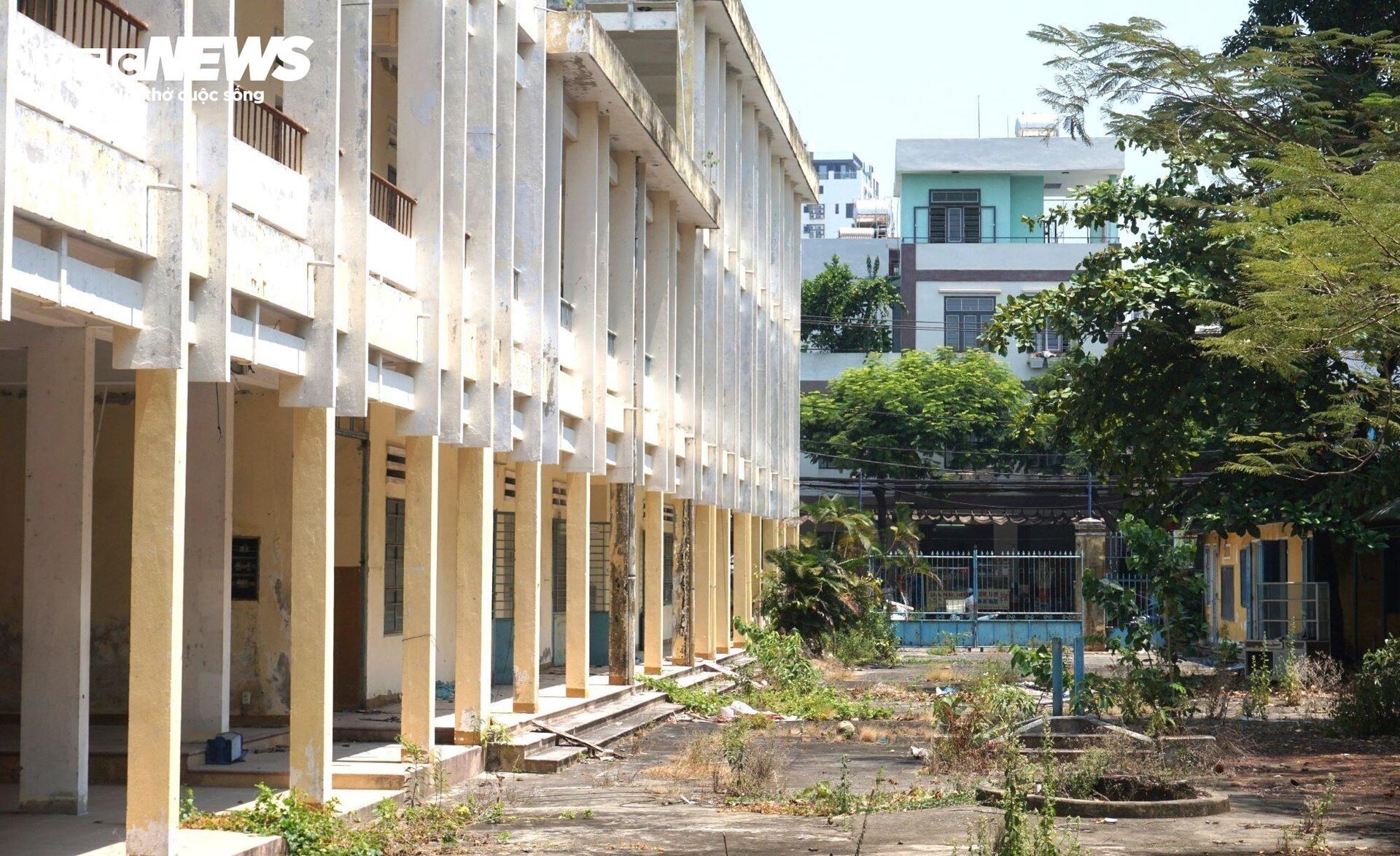 Trường học rộng nghìn m2 trên đất vàng ở Đà Nẵng bỏ không nhiều năm - 10