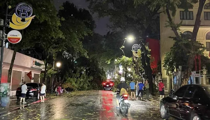 Cây xanh bị gãy đổ trong cơn dông tối 20/4 tại Hà Nội.