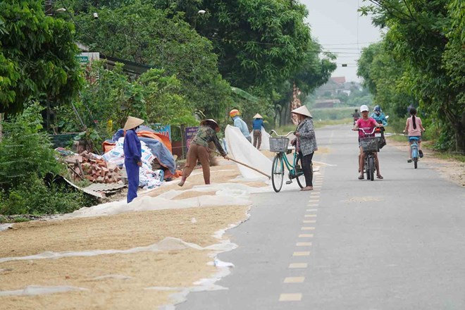 Lúa vẫn phơi trên nhiều tuyến đường ở Hà Tĩnh